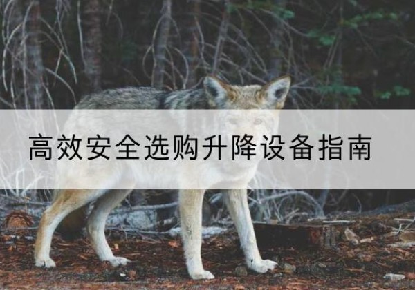 古交升降货梯厂家推荐-*安全选购升降设备指南