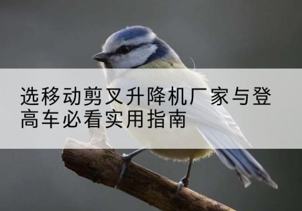 古交电动升降机厂家-选移动剪叉升降机厂家与登高车必看实用指南